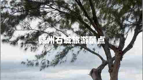 贛州石城旅游景點
