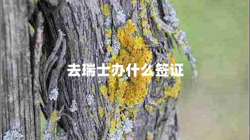 去瑞士辦什么簽證