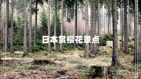 日本賞櫻花景點(diǎn) 日本賞櫻花景點(diǎn)