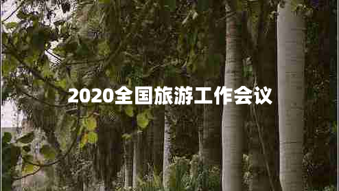 2020全國旅游工作會(huì)議