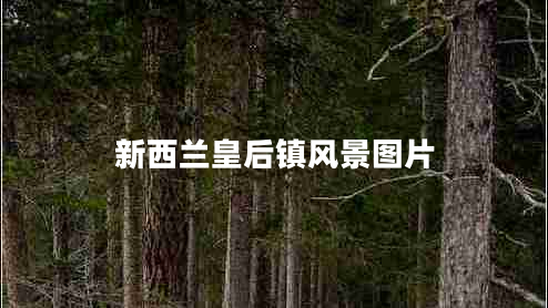 新西蘭皇后鎮(zhèn)風景圖片