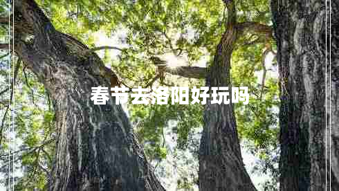 春節(jié)去洛陽(yáng)好玩嗎