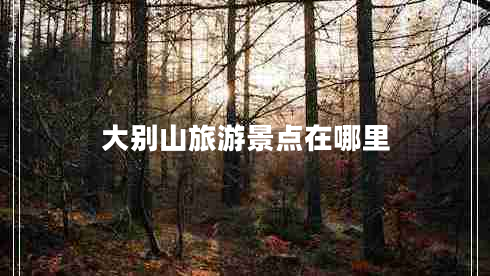 大別山旅游景點(diǎn)在哪里