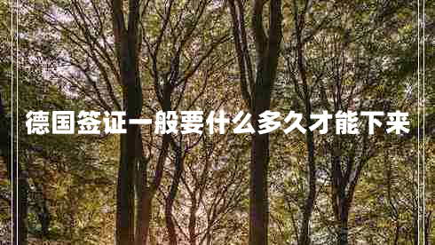 德國(guó)簽證一般要什么多久才能下來(lái)