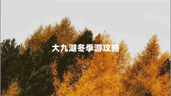 大九湖冬季游攻略 大九湖冬季游攻略
