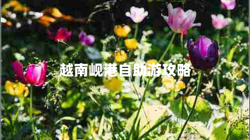 越南峴港自助游攻略