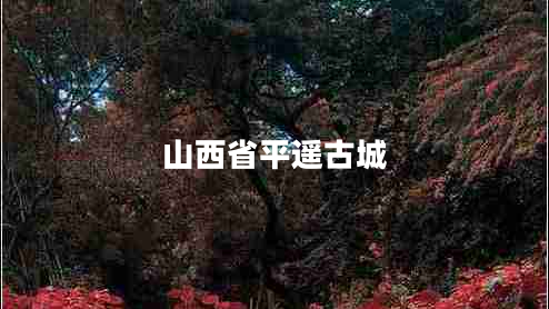 山西省平遙古城 山西省平遙古城