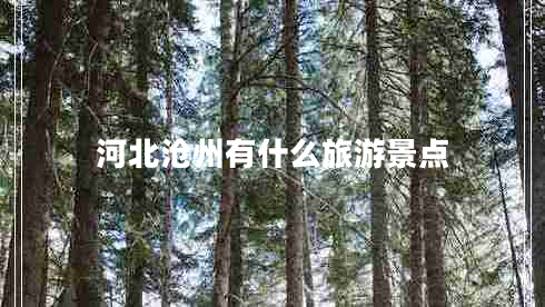 河北滄州有什么旅游景點