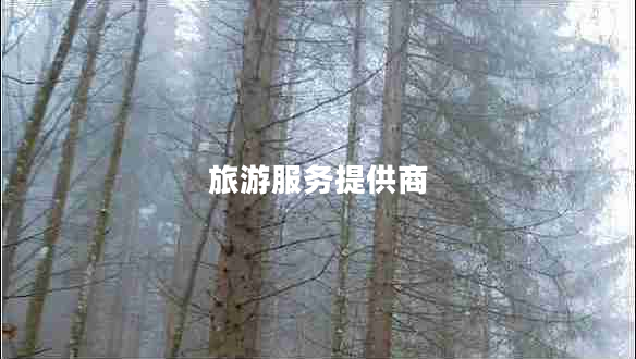旅游服務(wù)提供商