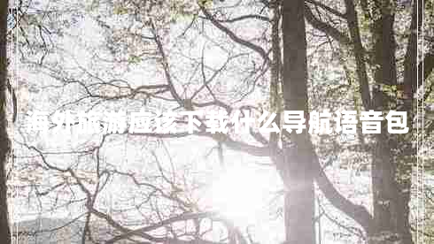 海外旅游應(yīng)該下載什么導(dǎo)航語音包