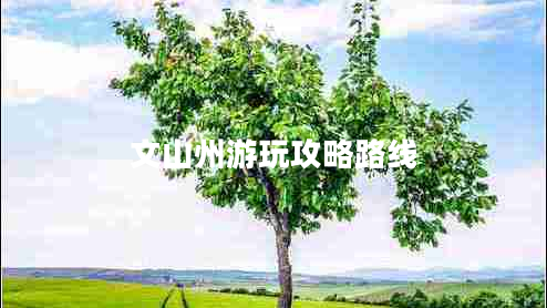 文山州游玩攻略路線