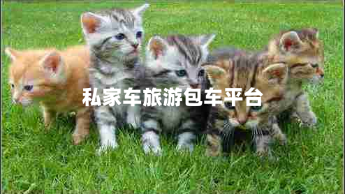 私家車旅游包車平臺
