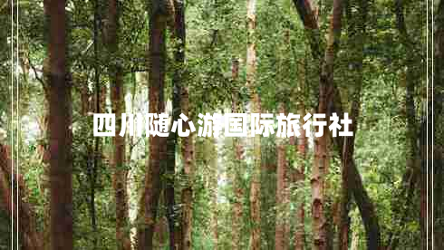四川隨心游國際旅行社