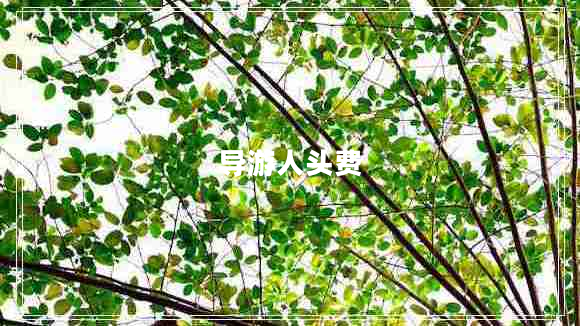 導(dǎo)游人頭費(fèi) 導(dǎo)游人頭費(fèi)
