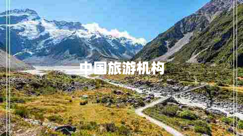 中國旅游機構(gòu)