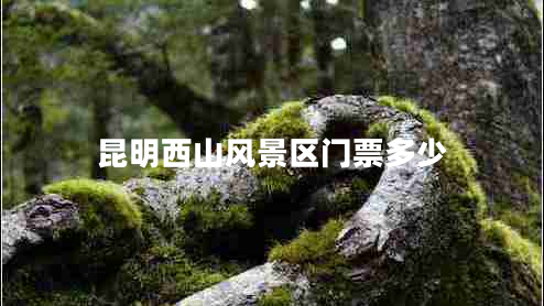 昆明西山風(fēng)景區(qū)門票多少