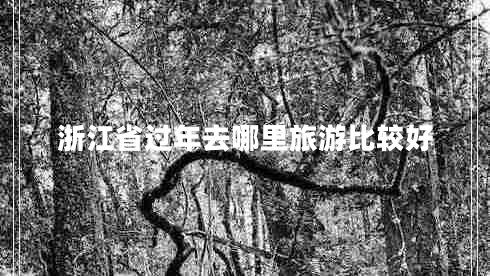 浙江省過年去哪里旅游比較好