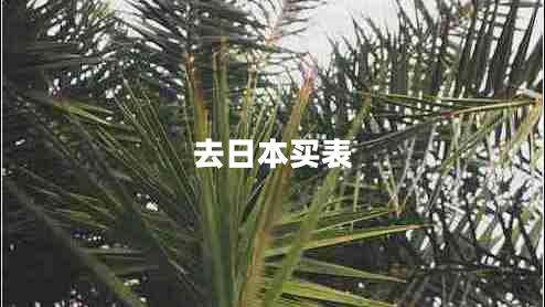 去日本買表 去日本買表