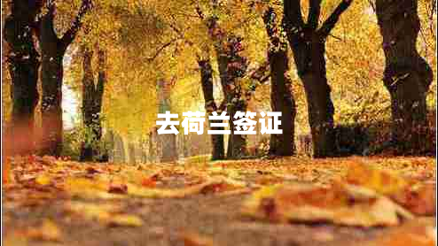 去荷蘭簽證 去荷蘭簽證