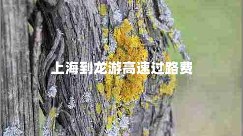 上海到龍游高速過路費(fèi)
