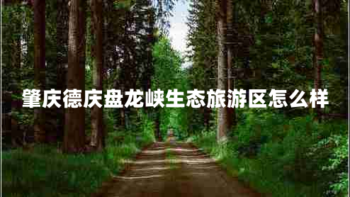 肇慶德慶盤龍峽生態(tài)旅游區(qū)怎么樣 肇慶德慶盤龍峽生態(tài)旅游區(qū)怎么樣