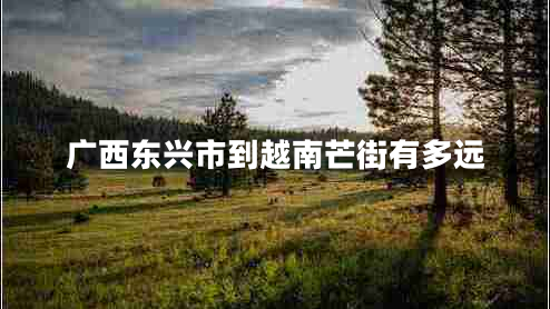 廣西東興市到越南芒街有多遠(yuǎn)