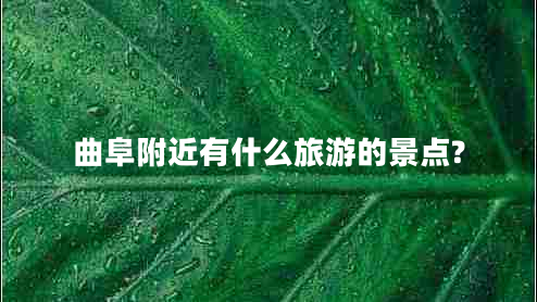 曲阜附近有什么旅游的景點(diǎn)?