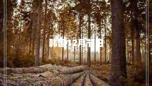韓國12月節(jié)日