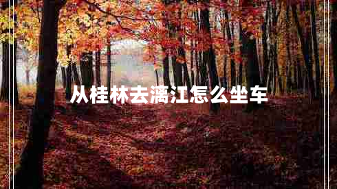 從桂林去漓江怎么坐車