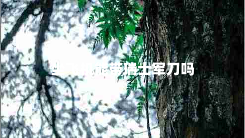 坐飛機(jī)能帶瑞士軍刀嗎