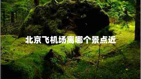 北京飛機場離哪個景點近