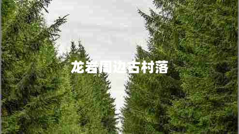 龍巖周邊古村落