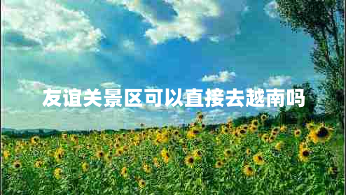 友誼關(guān)景區(qū)可以直接去越南嗎 友誼關(guān)景區(qū)可以直接去越南嗎