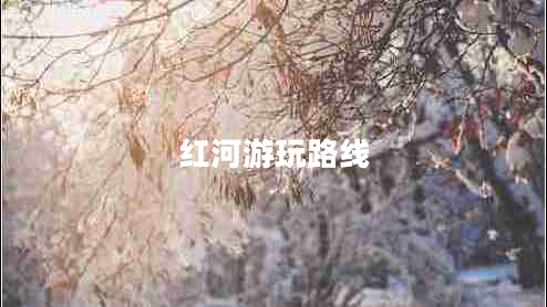 紅河游玩路線