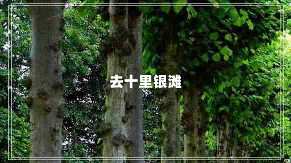 去十里銀灘 去十里銀灘