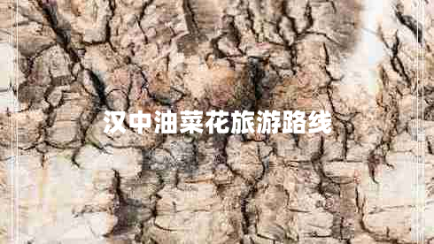 漢中油菜花旅游路線 漢中油菜花旅游路線