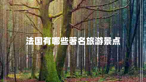 法國(guó)有哪些著名旅游景點(diǎn)