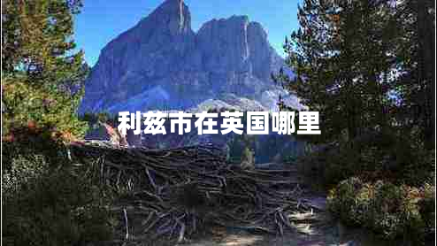 利茲市在英國哪里 利茲市在英國哪里