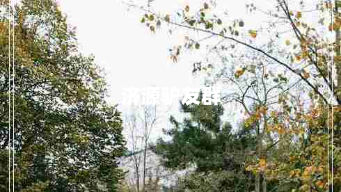 濟(jì)源驢友群