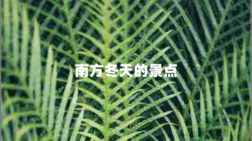 南方冬天的景點