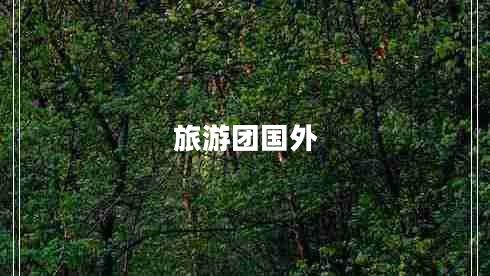 旅游團(tuán)國外