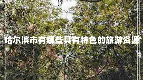 哈爾濱市有哪些具有特色的旅游資源