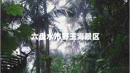 六盤(pán)水市野玉海景區(qū)