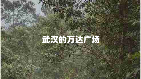 武漢的萬達(dá)廣場 武漢的萬達(dá)廣場