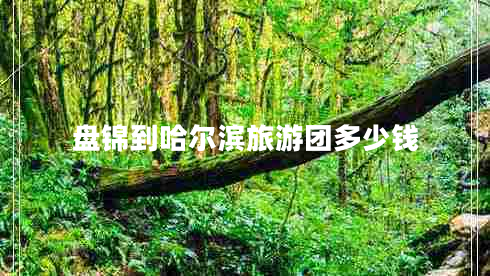 盤(pán)錦到哈爾濱旅游團(tuán)多少錢(qián)