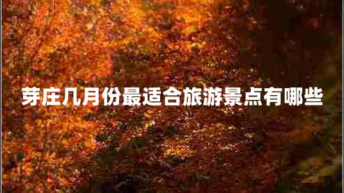 芽莊幾月份最適合旅游景點(diǎn)有哪些