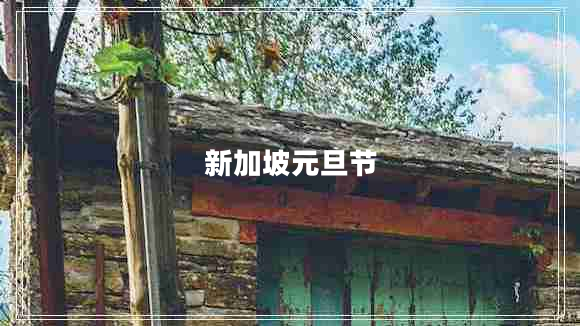 新加坡元旦節(jié)