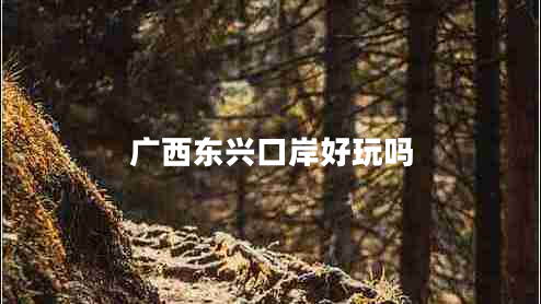廣西東興口岸好玩嗎