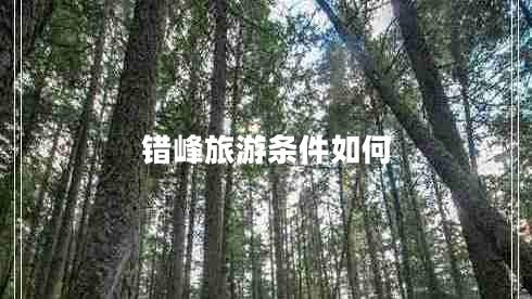 錯(cuò)峰旅游條件如何
