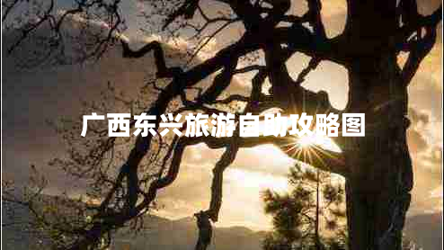 廣西東興旅游自助攻略圖